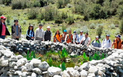Actividades de cuidado y protección al agua