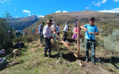 Cercado de puas para la protección de humedales deteriorados